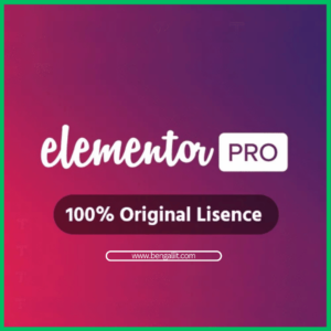 Elementor Pro Price in Bangladesh